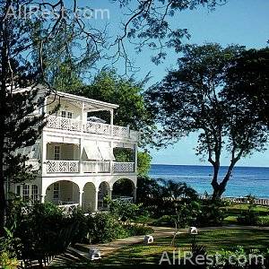 Coral Reef Club 9